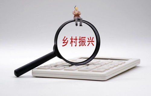 打通金融“最后一公里”，以多元服務賦能鄉村振興